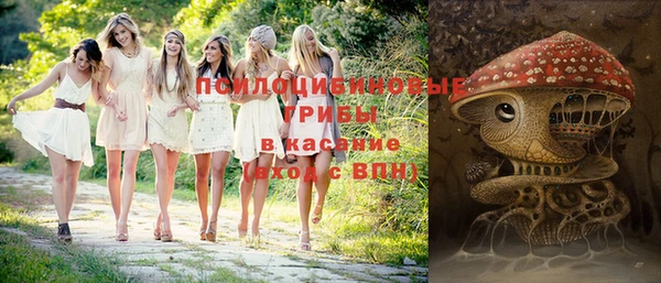 скорость Дмитриев