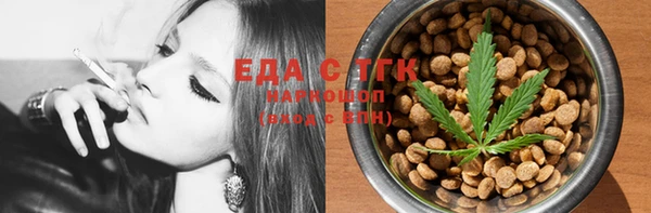 гидра Ельня