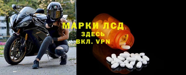 гидра Ельня