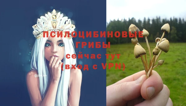 амфетамин Елизово