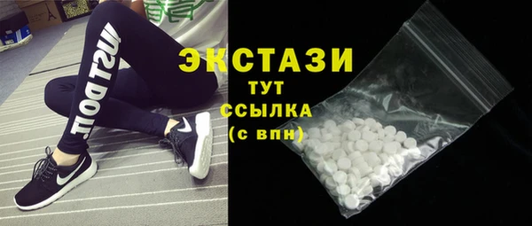 гидра Ельня