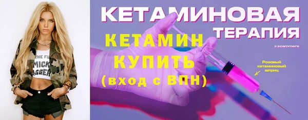гидра Ельня