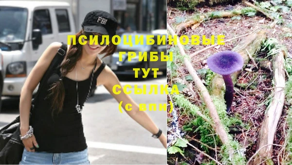 твердый Елабуга