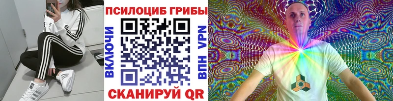 Псилоцибиновые грибы мицелий  Углегорск 