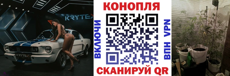 гидра рабочий сайт Углегорск Шишки марихуана гибрид